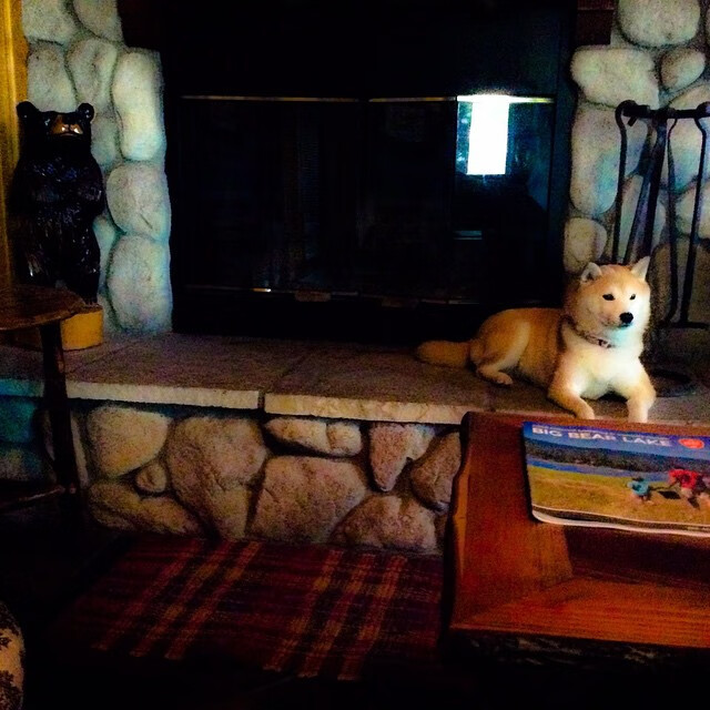 【穆基·贝茨的闪耀夜晚】道奇核心多次抢占排行榜榜首,穆奇-贝茨